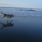 Una de sus grandes aficiones, correr por la playa